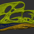 999.png Cráneo de Proceratosaurus