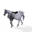 000kG.jpg HORSE - PEGASUS - HORSE - DOWNLOAD Pegasus horse 3d model - animated for blender-fbx-unity-maya-unreal-c4d-3ds max - 3D printing HORSE HORSE PEGASUS