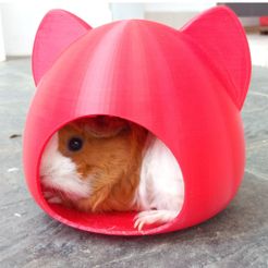 SubmitPhoto1.jpg STL file Pet House, Cat, Hamster, Guinea Pigs, small pet・3D print object to download