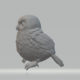 2.png Little Owl 3D Model 3D print model