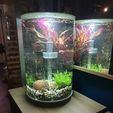 IMG-20201210-WA0052.jpg Modularized terrace system for biOrb fish tank