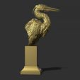 25.jpg Grey Heron bust