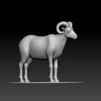 ZBrush-Document212121.jpg Wild goat