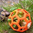 IMG-20230523-WA0003.jpg Tortoise Feeder Environment Enrichment Toy Hex Ball Easy Print No Supports