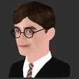 36.jpg Harry Potter bust ready for full color 3D printing