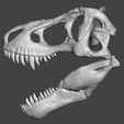 t-rex skull2.jpg T rex skull