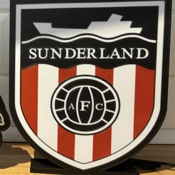 IMG_0141.jpg Sunderland AFC lightbox