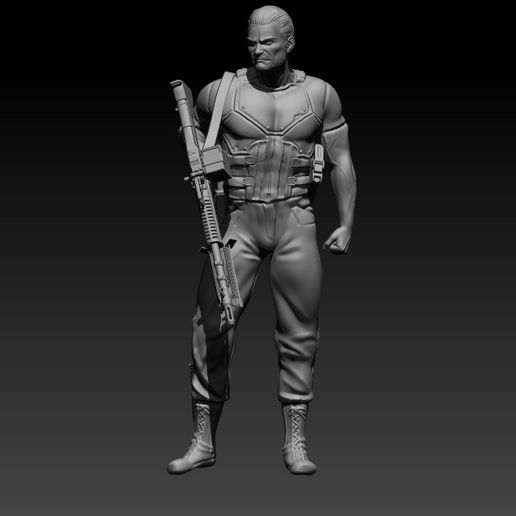 The Punisher
