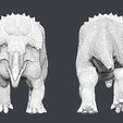Front-back.jpg Nasutoceratops 1:18 Scale