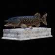 northern-pike-statue-box-1-2-1-2.png fish NORTHERN PIKE (ESOX LUCIUS) open mouth with storage space / for 3d printing