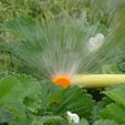 DSC03830.jpg garden watering nozzle