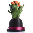 SAM_0391.jpg Bowler Hat Mini Plant Pot for Succulent&Cactus