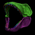 8.png Megalodon Shark Jaw