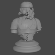 STORMTROOPER-1.png DEAD STORMTROOPER BUST | STAR WARS