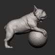 French_Bulldog9.jpg French Bulldog 3D print model
