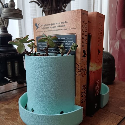 WhatsApp-Image-2024-06-10-at-15.32.20.jpeg Book End Planter