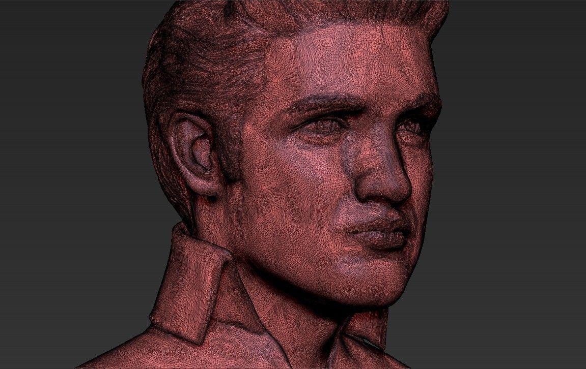 24.jpg 3D file Elvis Presley bust 3D printing ready stl obj・Template to download and 3D print, PrintedReality