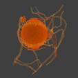 12.png 3D Model of Complete Eye Anatomy