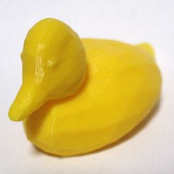 duck01.jpg Download STL file Duck • 3D printer model, polkhov