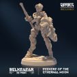 resize-a12.jpg Seekers of the Ethernal Moon - MINIATURES 2023