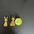 F3967E34-582E-4E91-858B-DA31BE4296EE_1_105_c.jpeg Wobbly bunny, stand-up man