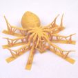 suport-3d-spider.jpg Realistic spider