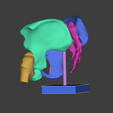 Screenshot-2025-12-14-105753.png PELVIS MODEL MAGNETIC JOINTS