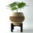misprint-7961.jpg The Elson Planter Pot with Drainage | Tray & Stand Included | Modern and Unique Home Decor for Plants and Succulents  | STL File