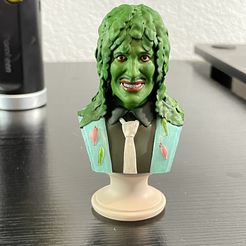 IMG_3083.jpg STL file Old Gregg Bust・3D printer design to download