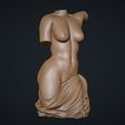 06.jpg Female Torso 3D Model
