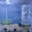 380297860_700182824873234_213948658476239550_n.jpg Shrimp cave fishtank aquarium hideout under substrate