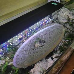 329620176_1128047617887687_916398935459483540_n.jpg Free 3D file Aquarium floating window・3D printer design to download