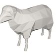 10000.jpg sheep animal