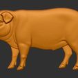 cerdo-relieve.jpg Cochon embossé