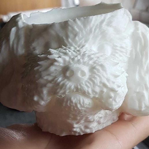 Poodle/poodle flower pot 3D model