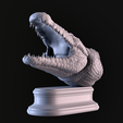02.png Cabeça de crocodilo