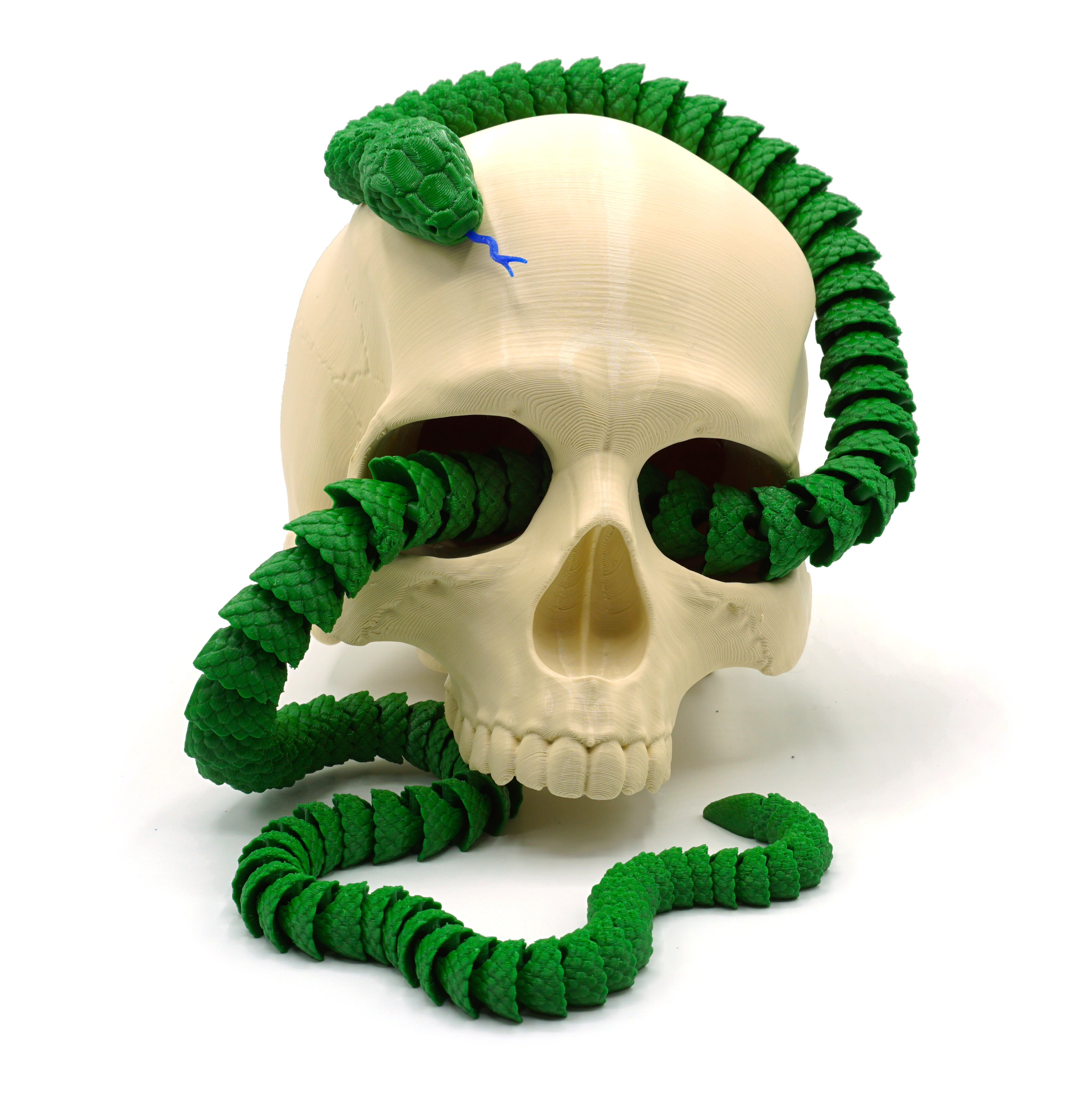 DSC01869.png Download file Snake and Rattlesnake • 3D printable design, mcgybeer