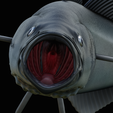 coalfish-open-mouth-statue-box-34.png COALFISH / POLLACHIUS VIRENS trophy with storage space for 3d printing