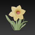 Daffodil1.png daffodil