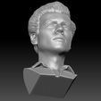 19.jpg Harry Styles bust 3D printing ready stl obj formats