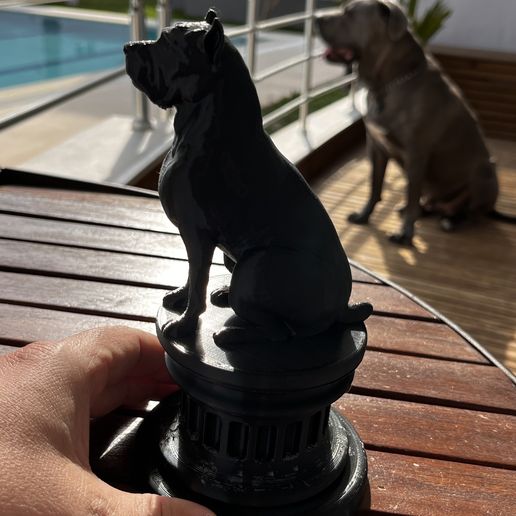 C434FDF6-1C14-4A2C-B788-66739F3E4C10.jpeg CANE CORSO