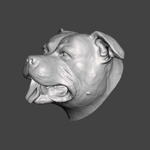2021-04-27-22_39_10-Window.png DOG HEAD STAFFORSHIRE BULL TERRIER STAFFY PITBULL DOG .obj .stl