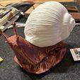 Snail lamp