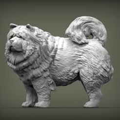 chow-chow1.jpg Файл 3D Chow Chow 3D print model・Модель для загрузки и 3D-печати