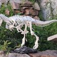T-Rex Skeleton