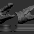 10.png Cabeça de crocodilo