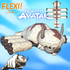 01.png Archivo STL ¡FLEXI Appa de Avatar el último maestro del aire! ¡Impresión en el lugar y flexi!・Modelo de impresora 3D para descargar