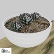 24.1.jpg FLOWER POT FOR HOME DECORATION. FP24