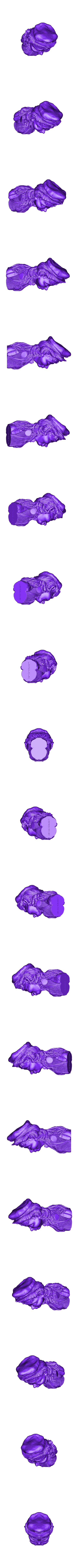 TheCheerfulPilot_Med.stl The Cheerful Pilot