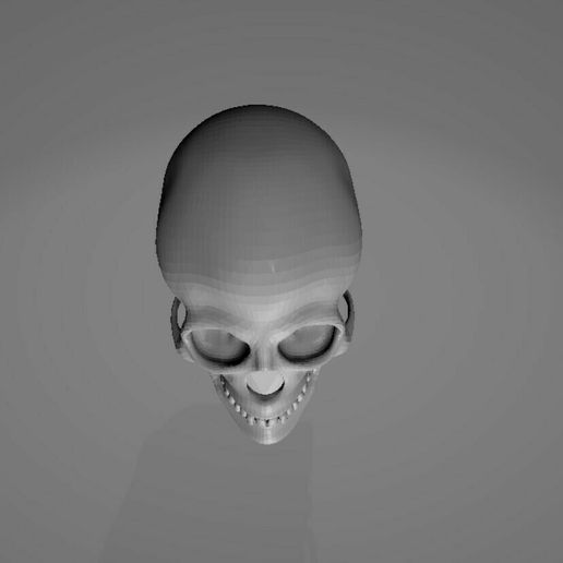 Screenshot-2021-04-04-171120.jpg SKULL